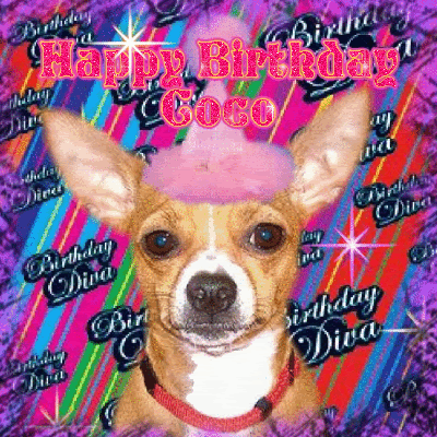 Coco.gif Coco image by Birthday_Dogs