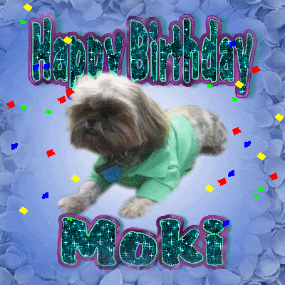 Moki.gif Moki image by Birthday_Dogs