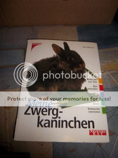 100_1027.jpg