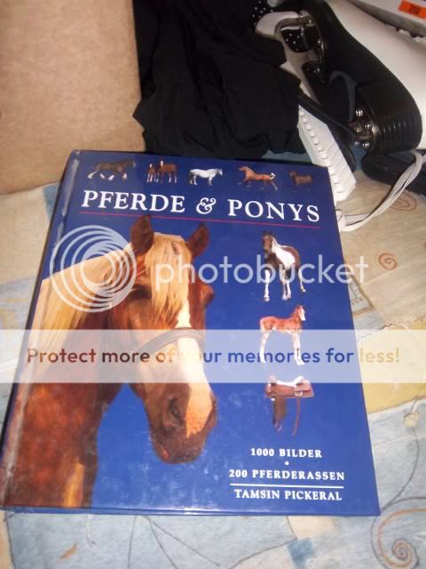 100_1033.jpg