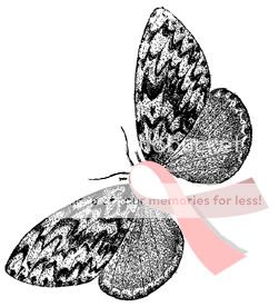 Breast Cancer Pictures, Images and Photos