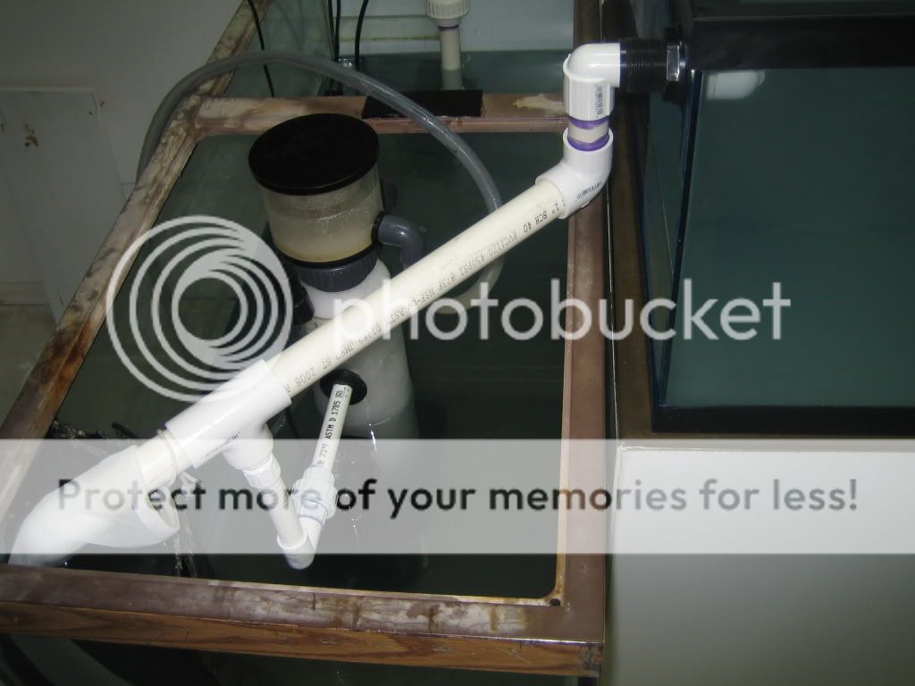 LooseHip's 40 breeder SPS build Reef Central Online Community