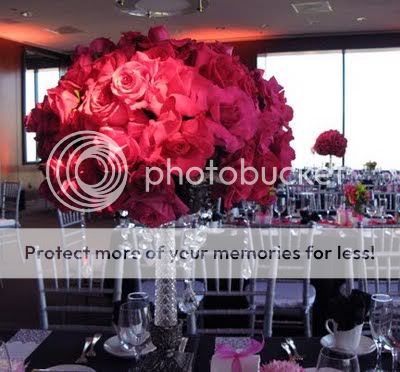 Lady Sexy Video on Hot Lady Roses