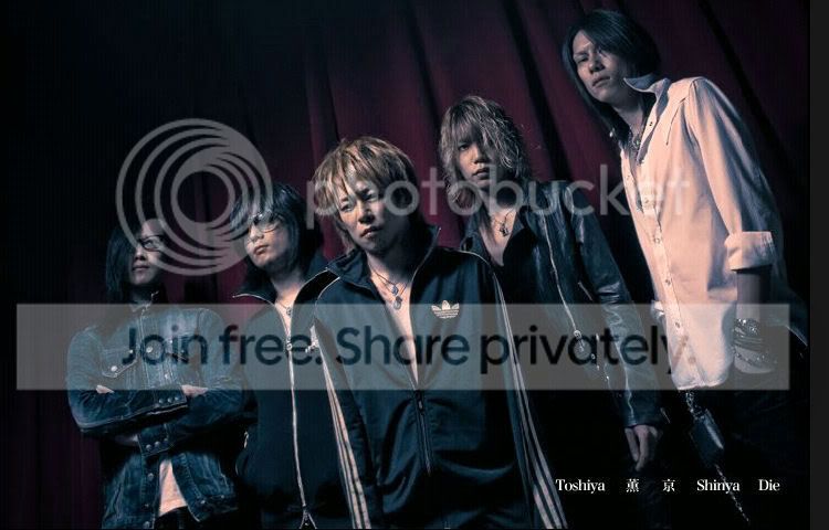 User Image