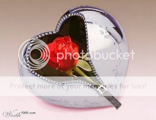 b7da52211eb30114d117d04ft8.jpg